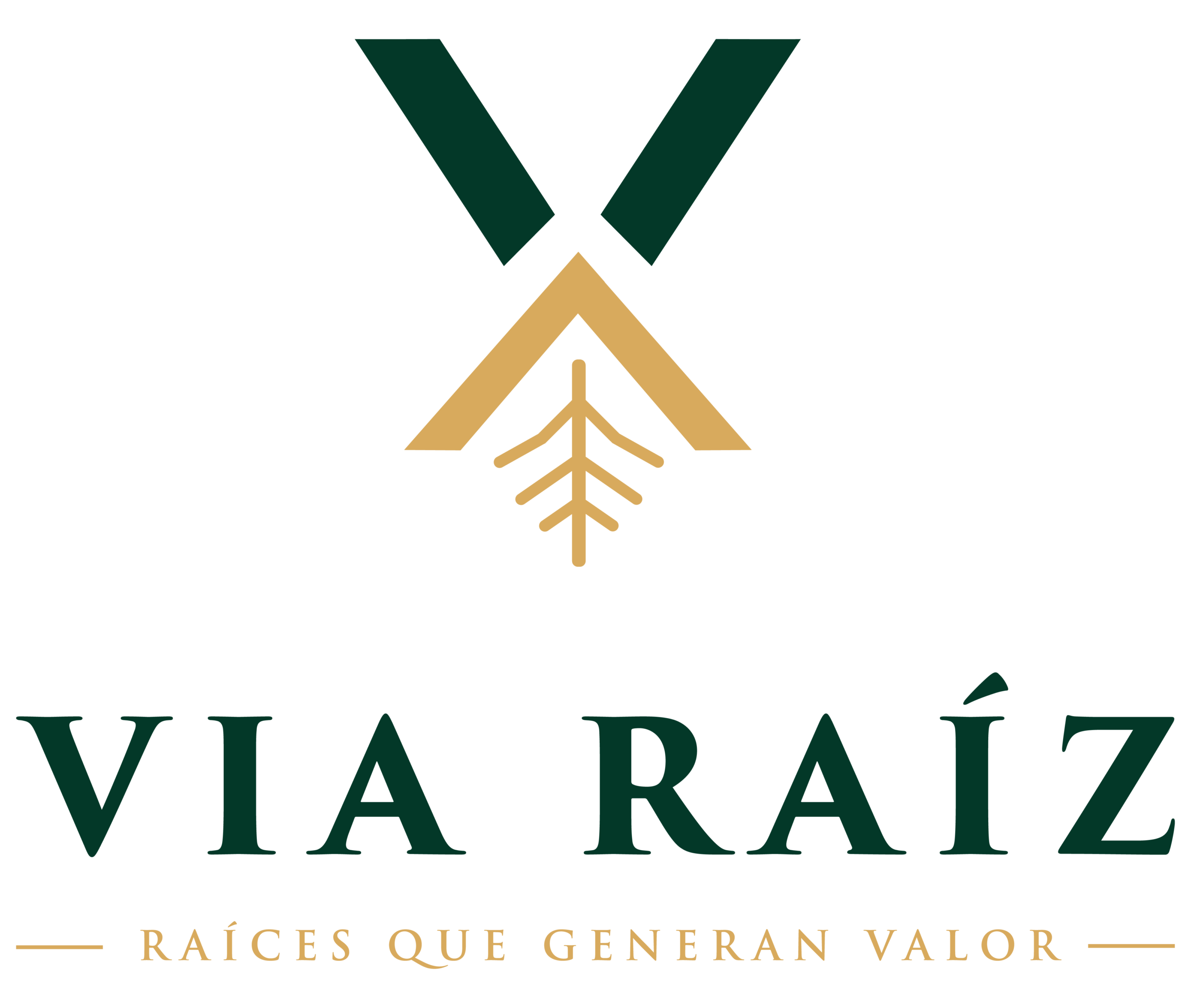 viaraiz.com
